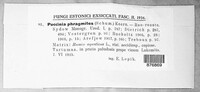 Image Associated With the Occurrence